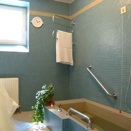 Haus Friedrichsburg - Sommer Bergbahn Inklusive 酒店 3*