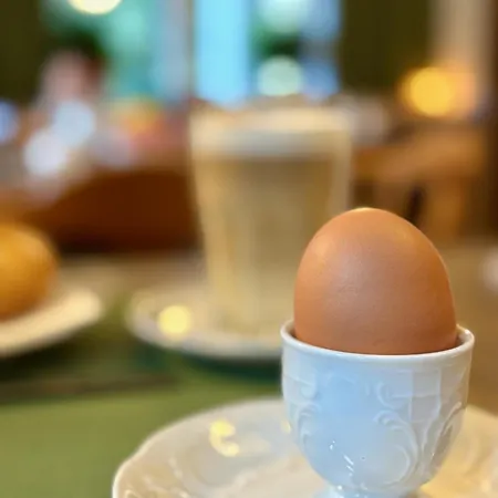 Haus Friedrichsburg 3* באד הופגסטין